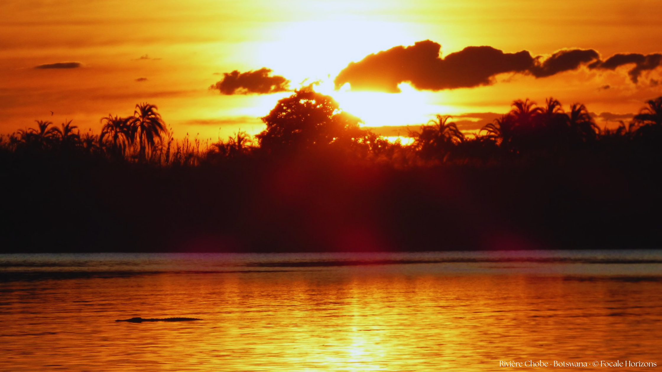 Coucher de soleil sur la rivière Chobe au Botswana coucher de soleil crocodile rivière chobe botswana