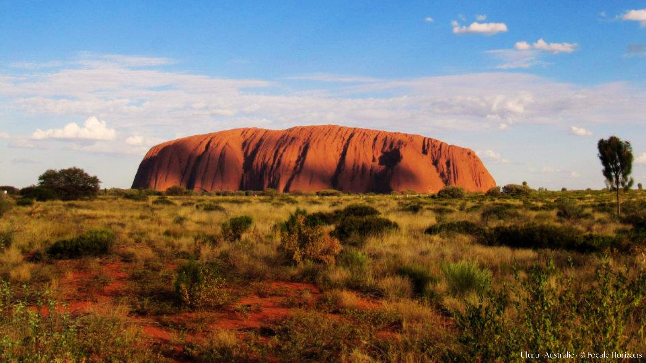 Uluru au coucher du soleil en Australie Uluru rocher rouge Australie bush